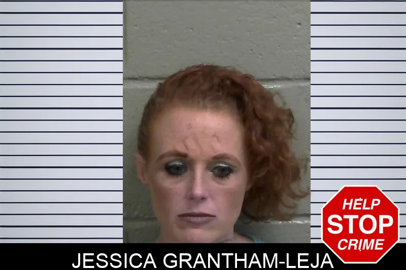Jessica Grantham-Leja mugshot – Wayne County , Georgia Jessica Grantham-Leja mugshot