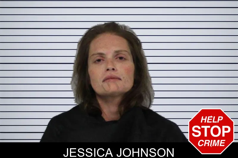 Jessica Johnson mugshot