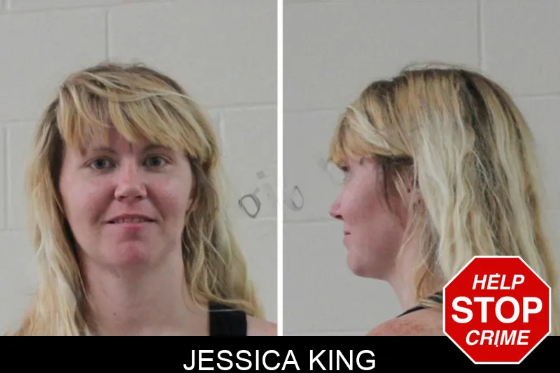 Jessica King mugshot – Houston County , Georgia Jessica King mugshot