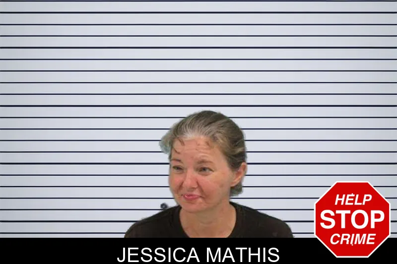Jessica Mathis mugshot – Grady County , Georgia Jessica Mathis mugshot