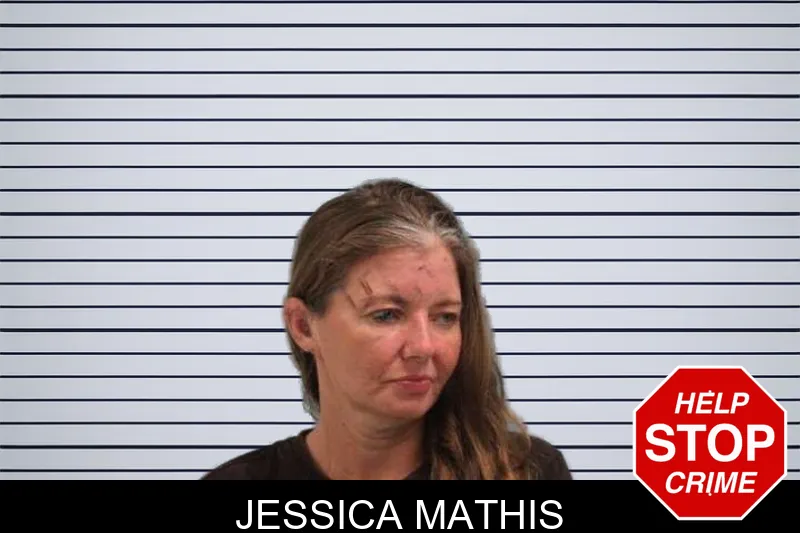 Jessica Mathis mugshot – Grady County , Georgia Jessica Mathis mugshot