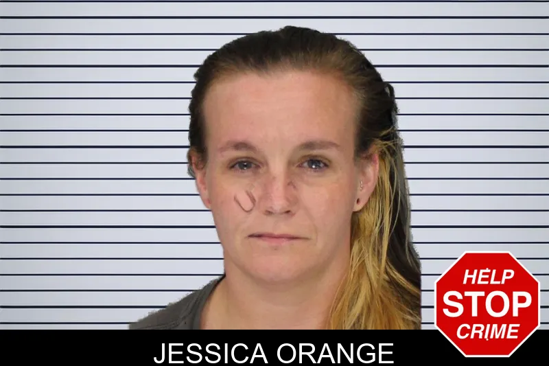 Jessica Orange mugshot – Cobb County , Georgia Jessica Orange mugshot