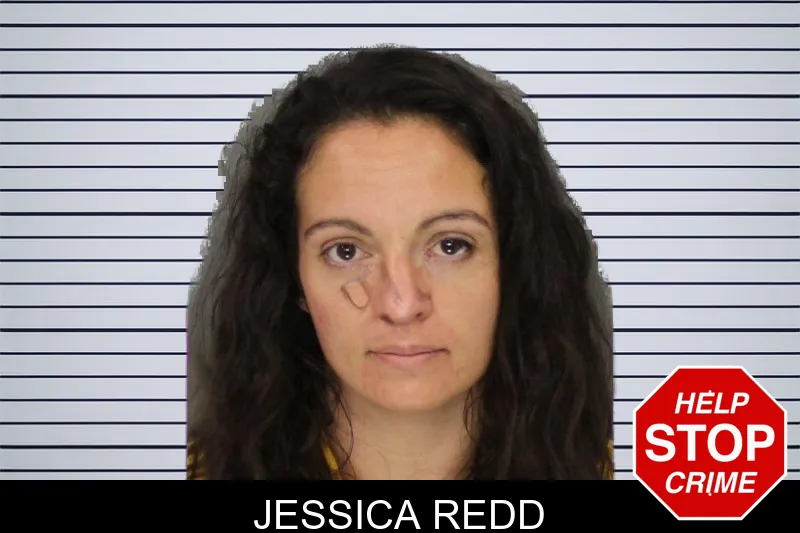 Jessica Redd mugshot – Cobb County , Georgia Jessica Redd mugshot