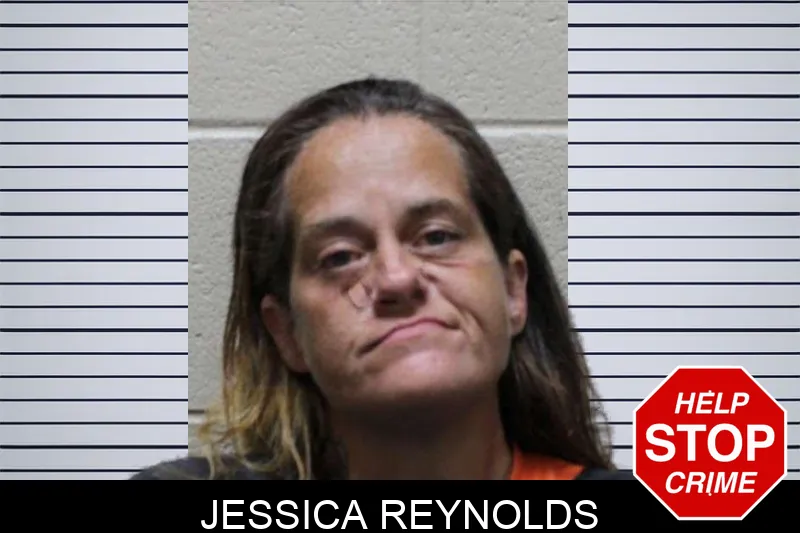 Jessica Reynolds mugshot – Haralson County , Georgia Jessica Reynolds mugshot