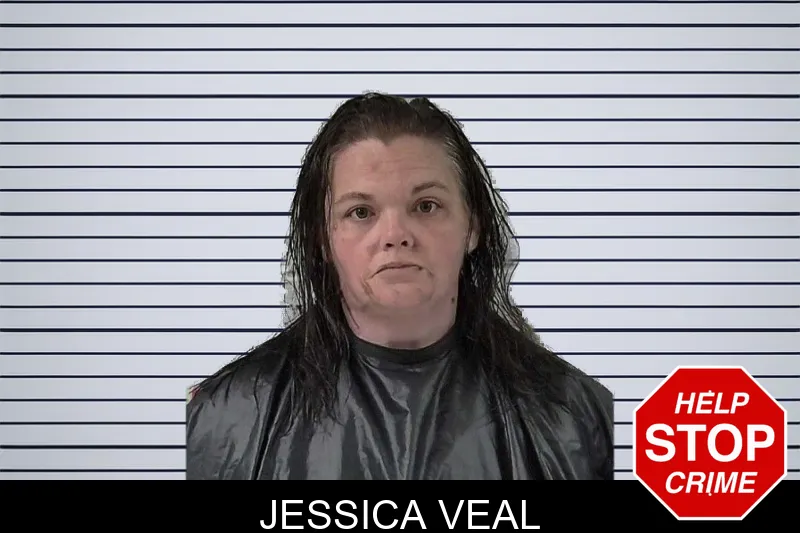 Jessica Veal mugshot – Elbert County , Georgia Jessica Veal mugshot
