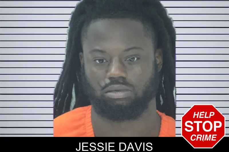 Jessie Davis mugshot