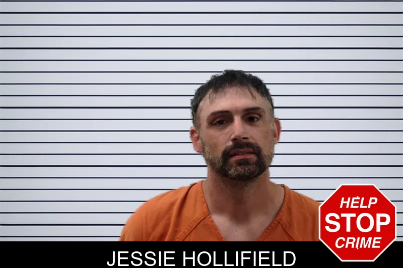 Jessie Hollifield mugshot