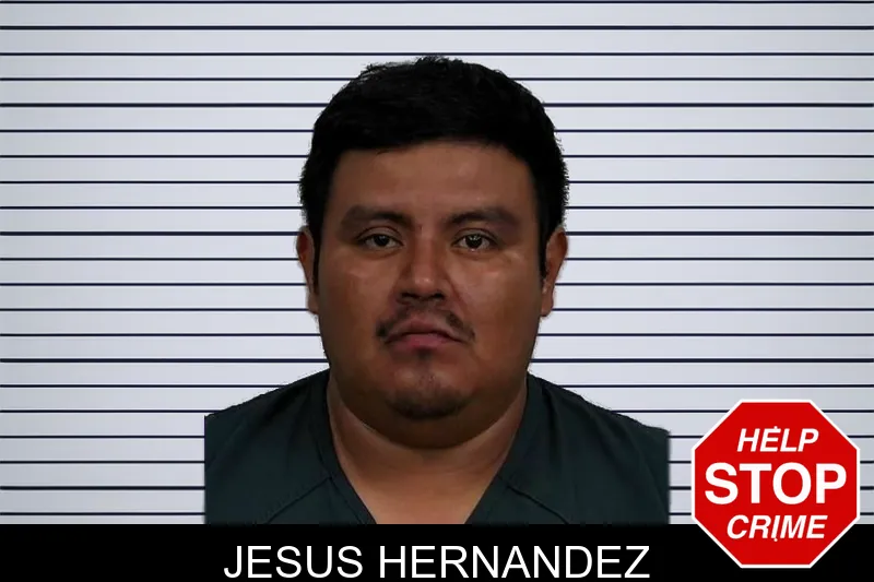 Jesus Hernandez mugshot