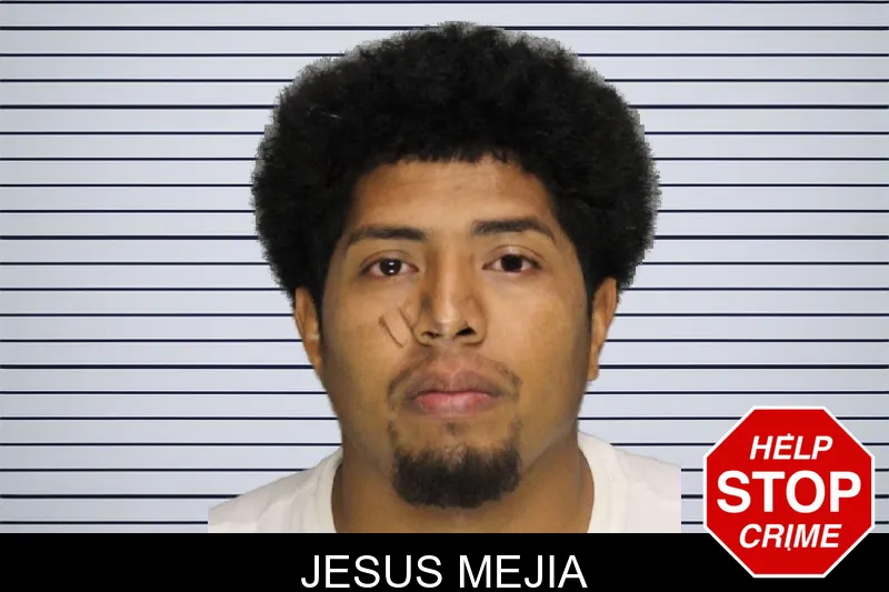 Jesus Mejia mugshot