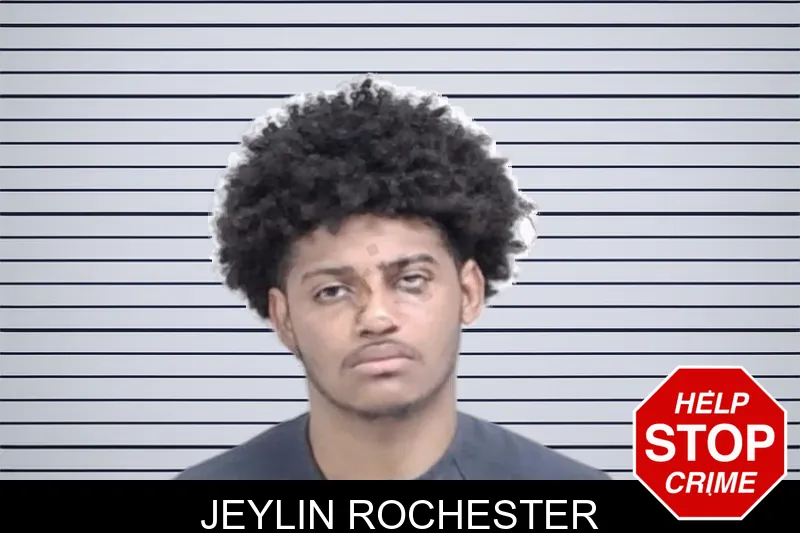 Jeylin Rochester mugshot – Lowndes County , Georgia Jeylin Rochester mugshot