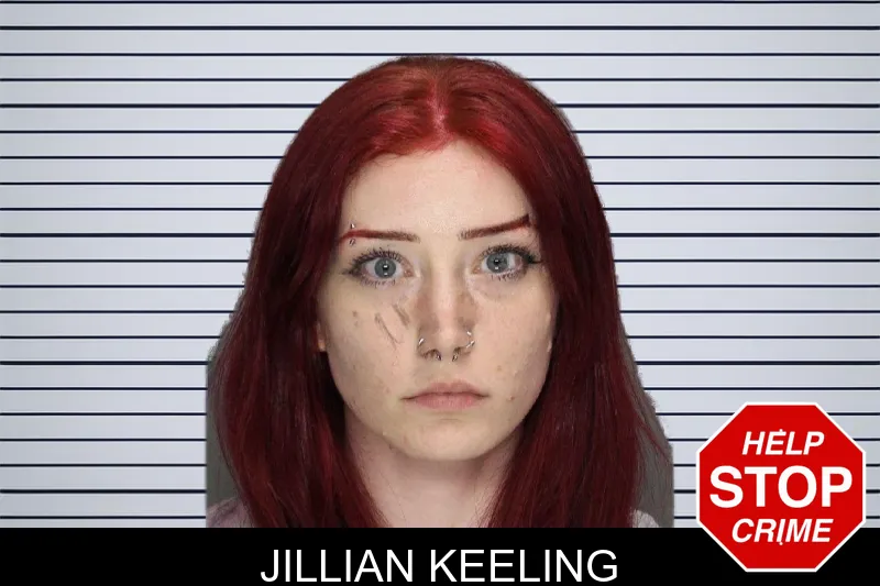 Jillian Keeling mugshot – Cobb County , Georgia Jillian Keeling mugshot