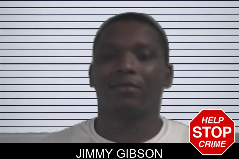 Jimmy Gibson mugshot – McDuffie County , Georgia Jimmy Gibson mugshot