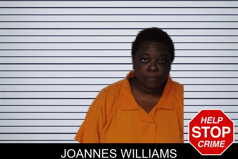 Joannes Williams mugshot – Rockdale County , Georgia Joannes Williams mugshot