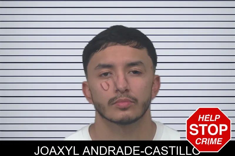 Joaxyl Andrade-Castillo mugshot