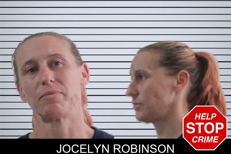 Jocelyn Robinson mugshot – Houston County , Georgia Jocelyn Robinson mugshot
