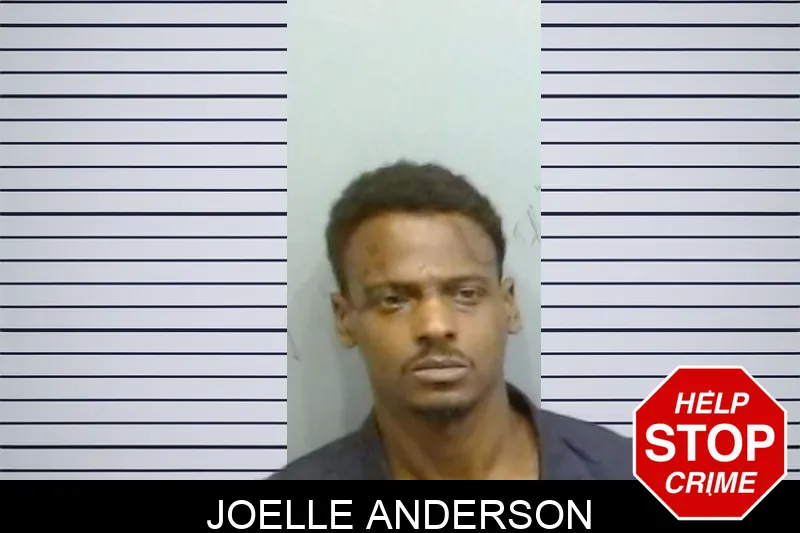 Joelle Anderson mugshot