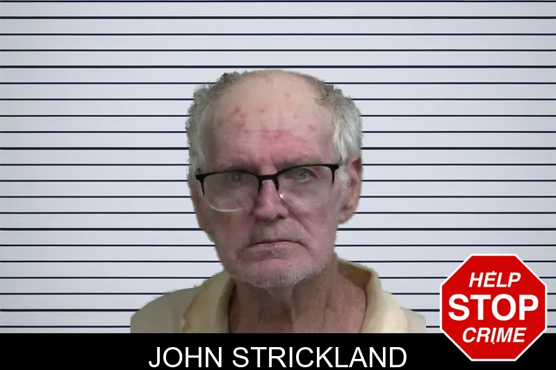 John Strickland mugshot – Wayne County , Georgia John Strickland mugshot