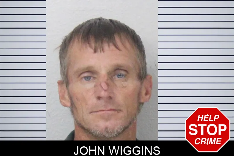 John Wiggins mugshot