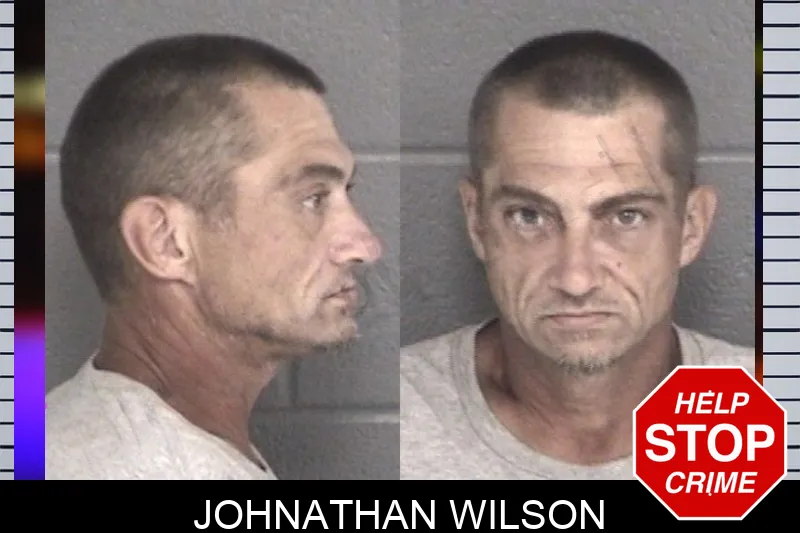 Johnathan Wilson mugshot – Barrow County , Georgia Johnathan Wilson mugshot