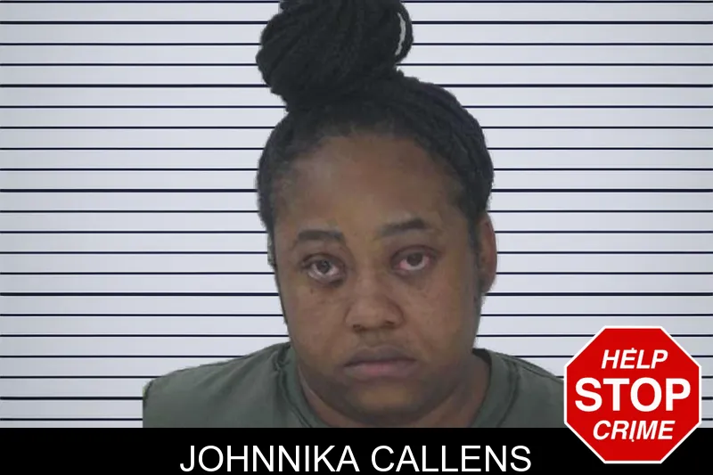 Johnnika Callens mugshot – Fayette County , Georgia Johnnika Callens mugshot