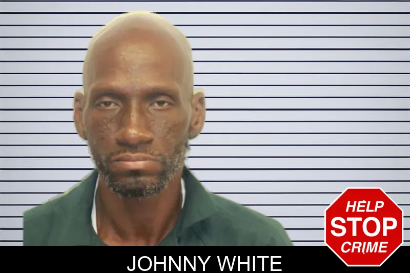 Johnny White mugshot – Chatham County , Georgia Johnny White mugshot