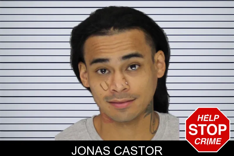 Jonas Castor mugshot – Cobb County , Georgia Jonas Castor mugshot
