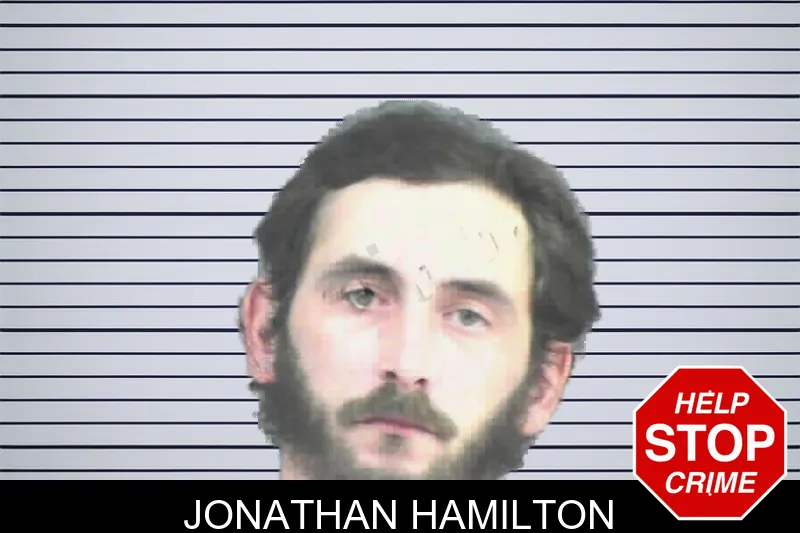 Jonathan Hamilton mugshot – Mitchell County , Georgia Jonathan Hamilton mugshot