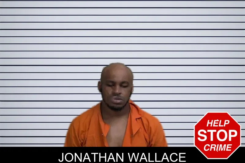 Jonathan Wallace mugshot – Wayne County , Georgia Jonathan Wallace mugshot