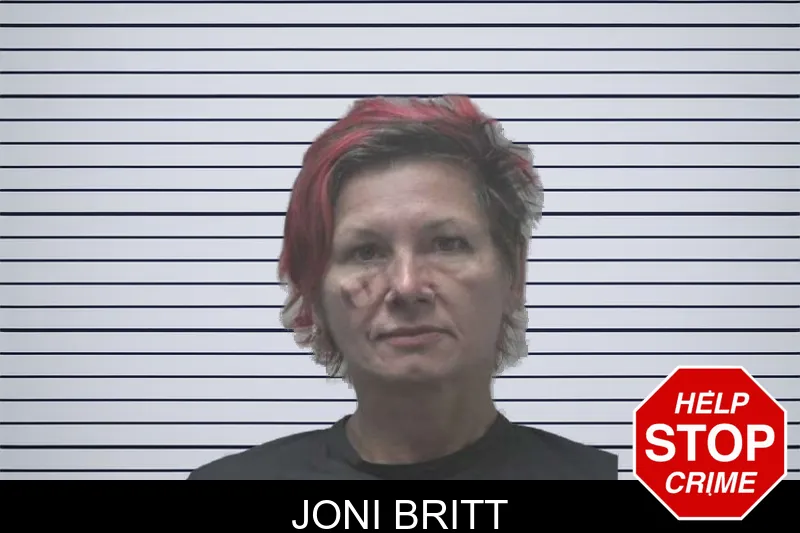 Joni Britt mugshot – Coweta County , Georgia Joni Britt mugshot