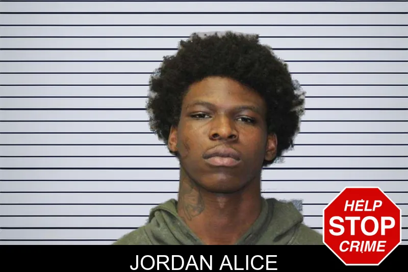 Jordan Alice mugshot – Thomas County , Georgia Jordan Alice mugshot