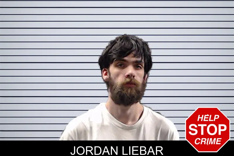 Jordan Liebar mugshot – DeKalb County , Georgia Jordan Liebar mugshot
