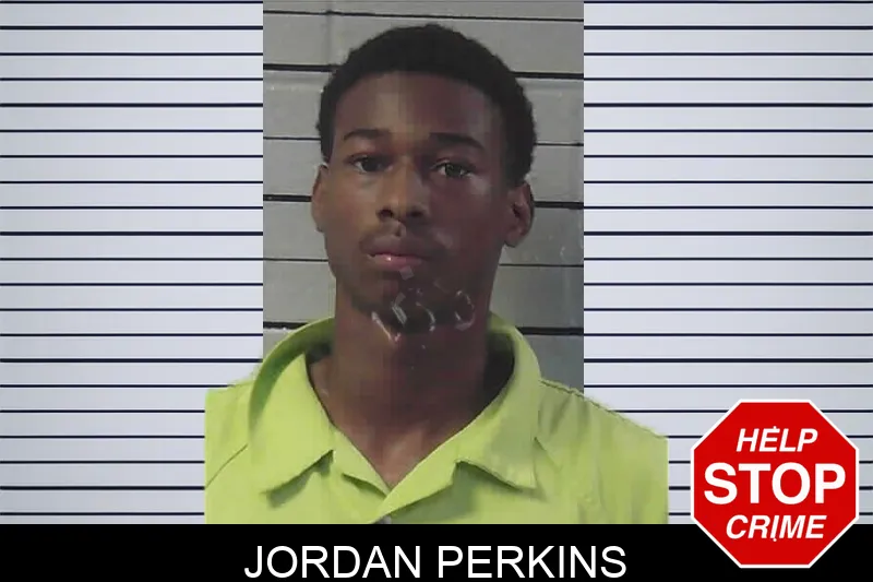 Jordan Perkins mugshot