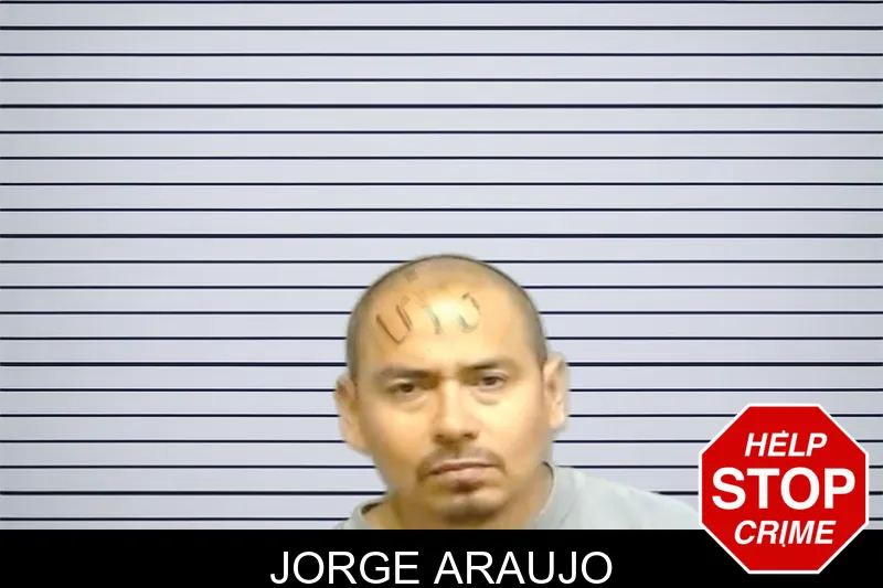 Jorge Araujo mugshot – Fulton County , Georgia Jorge Araujo mugshot