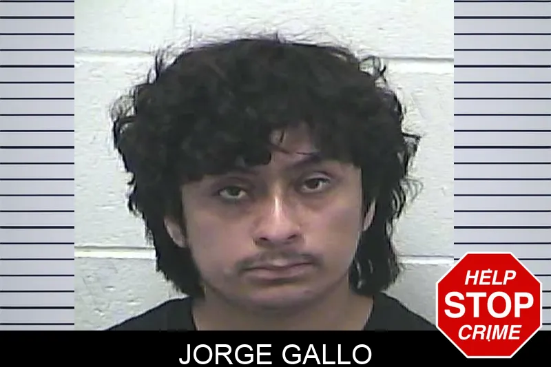 Jorge Gallo mugshot – Dawson County , Georgia Jorge Gallo mugshot