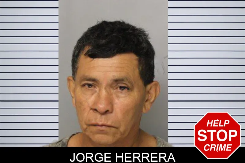 Jorge Herrera mugshot – Hall County , Georgia Jorge Herrera mugshot