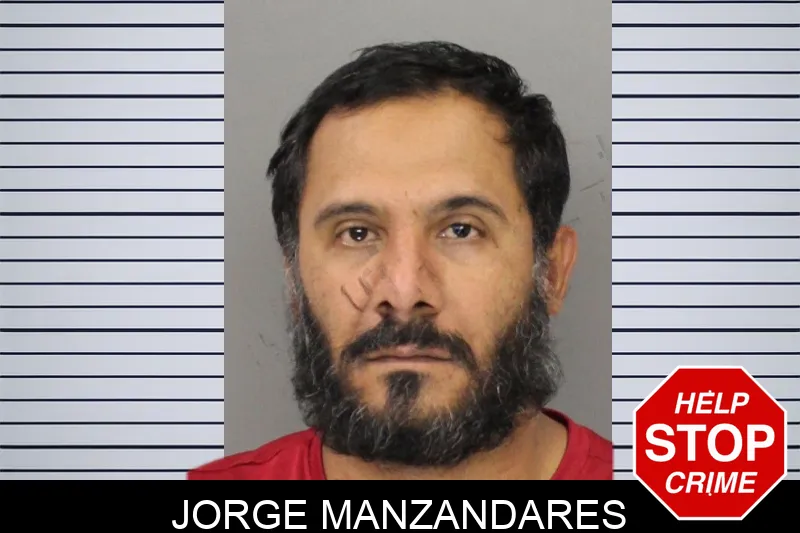 Jorge Manzandares mugshot