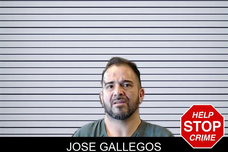 Jose Gallegos mugshot