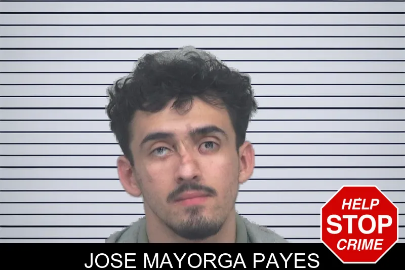 Jose Mayorga Payes mugshot