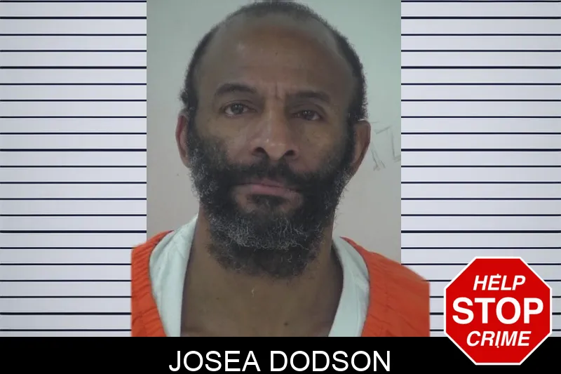 Josea Dodson mugshot – Fayette County , Georgia Josea Dodson mugshot