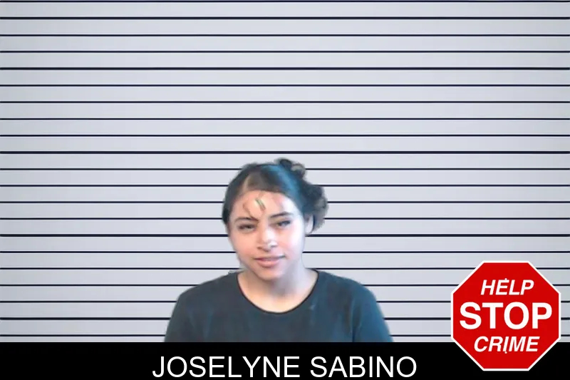 Joselyne Sabino mugshot – DeKalb County , Georgia Joselyne Sabino mugshot