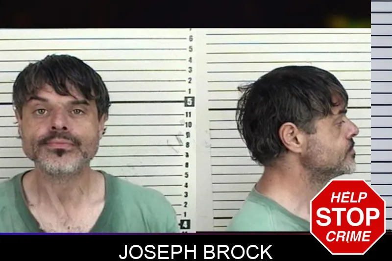 Joseph Brock mugshot – Camden County , Georgia Joseph Brock mugshot