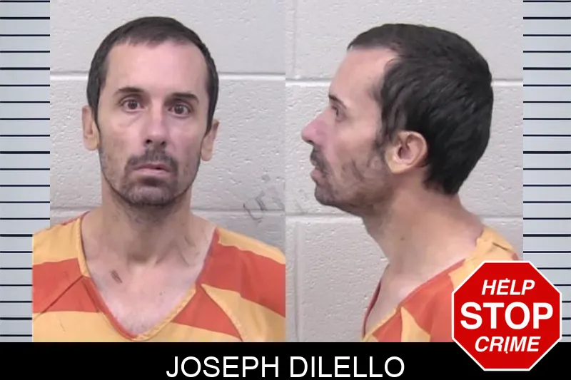Joseph Dilello mugshot – Paulding County , Georgia Joseph Dilello mugshot