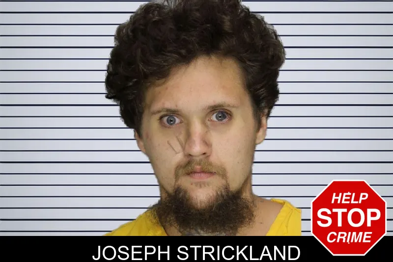 Joseph Strickland mugshot – Cobb County , Georgia Joseph Strickland mugshot