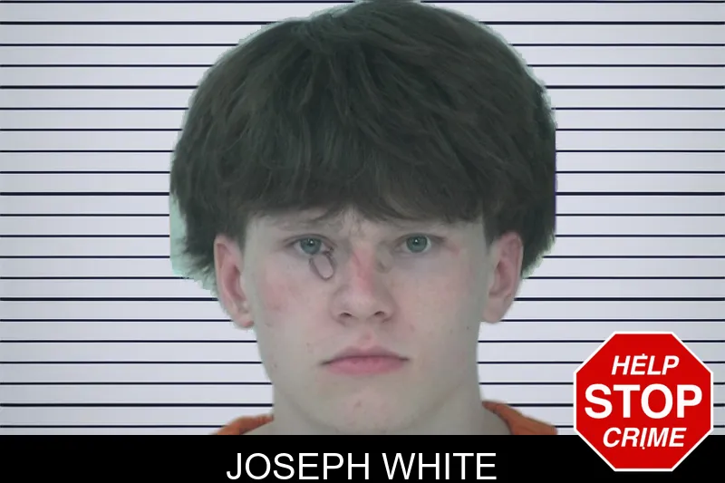 Joseph White mugshot – Fayette County , Georgia Joseph White mugshot