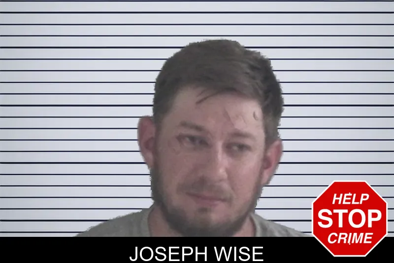 Joseph Wise mugshot – Brantley County , Georgia Joseph Wise mugshot