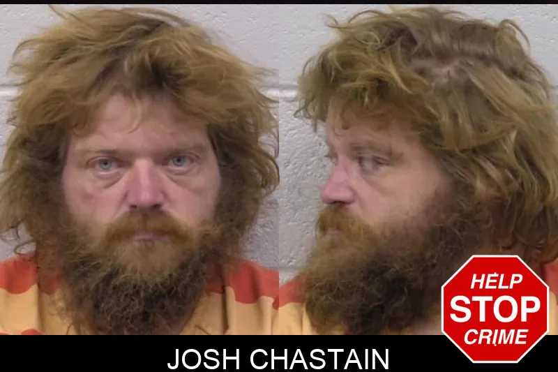Josh Chastain mugshot