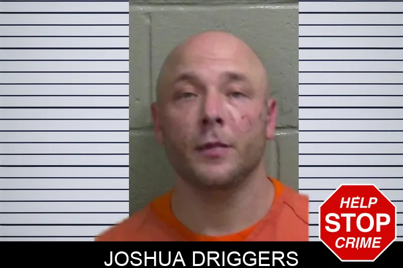 Joshua Driggers mugshot – Wayne County , Georgia Joshua Driggers mugshot