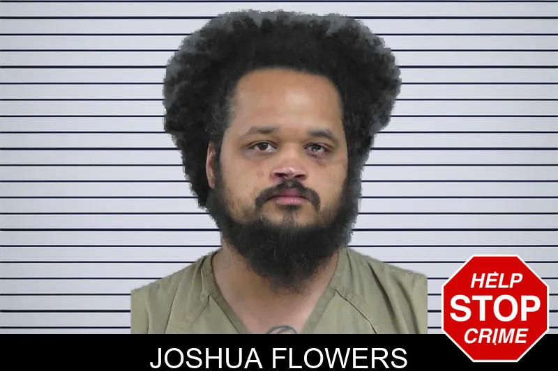 Joshua Flowers mugshot