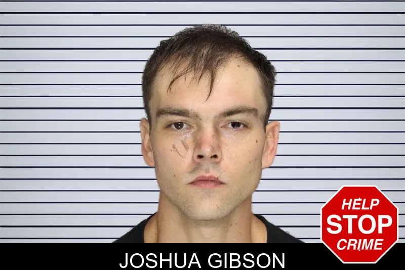 Joshua Gibson mugshot
