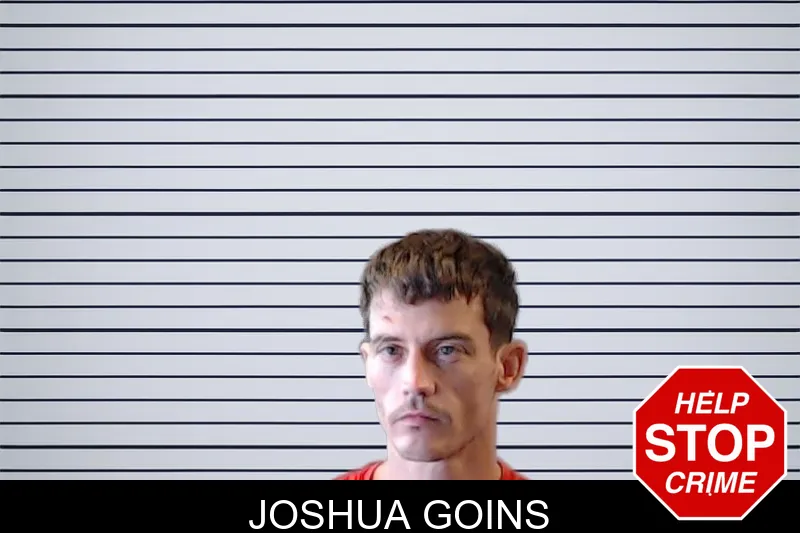 Joshua Goins mugshot – DeKalb County , Georgia Joshua Goins mugshot
